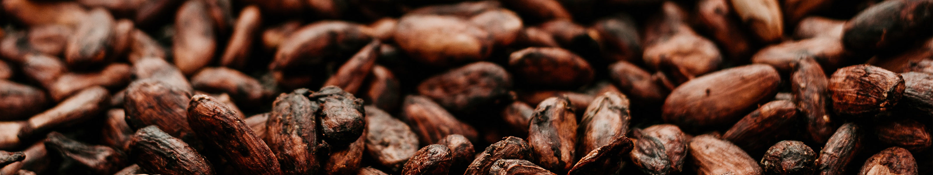 Cacao Beans