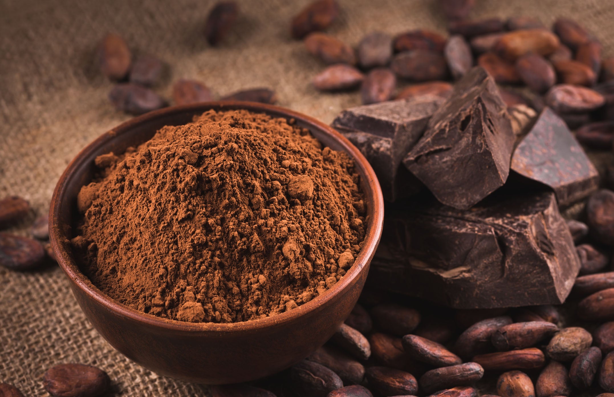 Cacao powder in a bowl